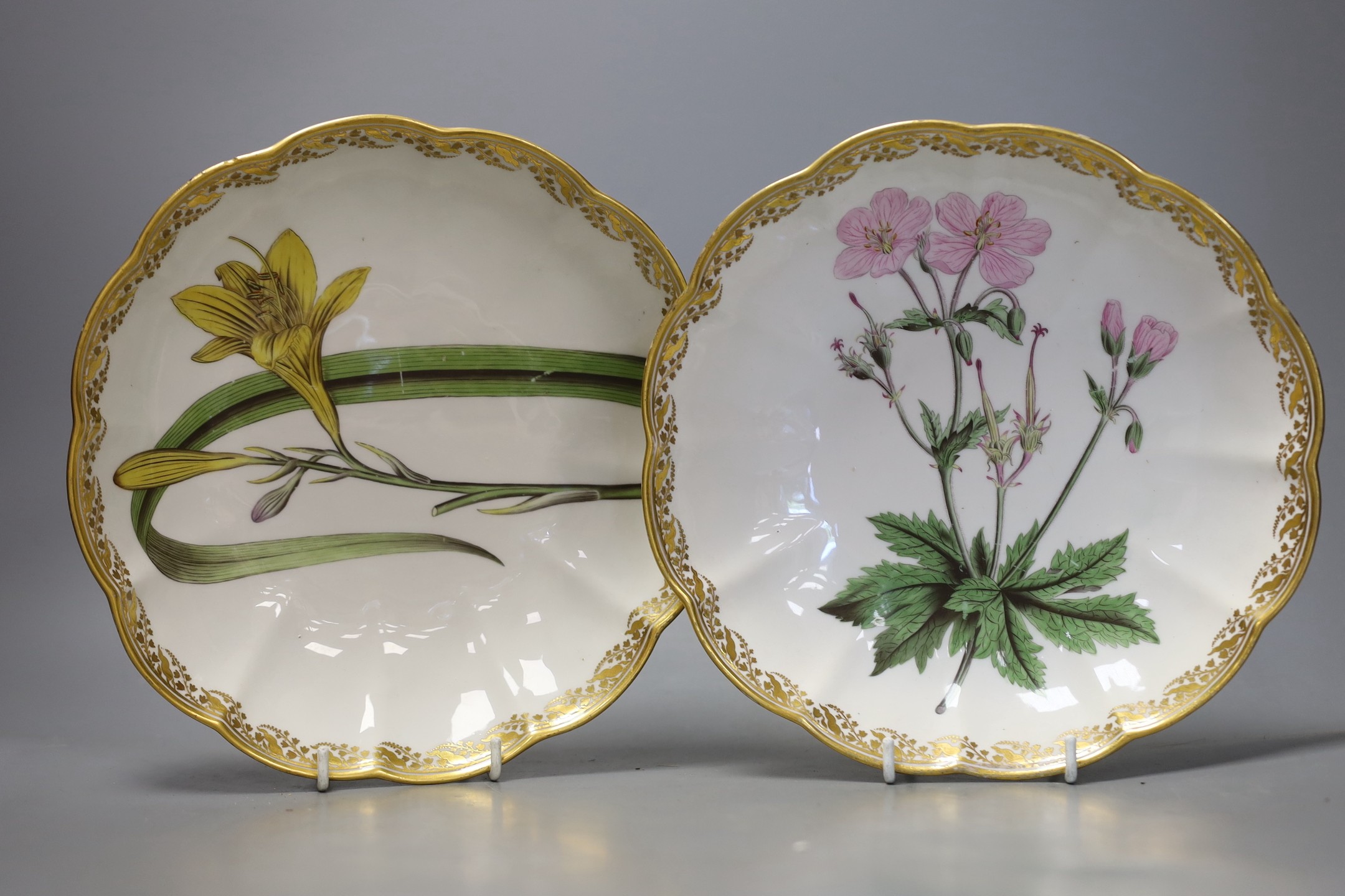 Four Derby botanical plates, to include pattern 115, Derby collection no.150 and 151, c.1795